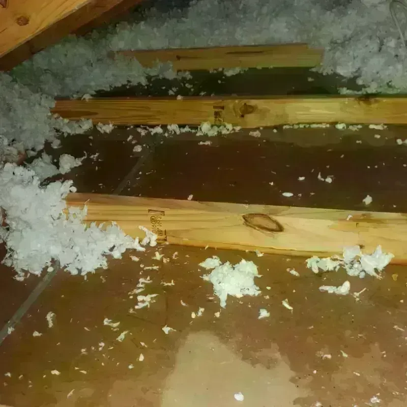 Attic Water Damage in Dyersburg, TN